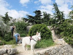 Jacques, Guy et Hima montant la garde 