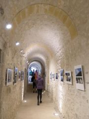 L’exposition rencontre un beau succès