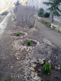 2011 Les petits buis viennent d'être plantés 