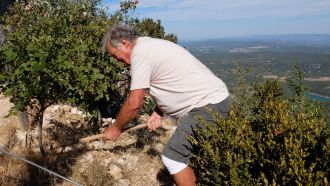 Marc Dufleid creuse des vasques autour des arbustes