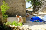 Jeudi 10 août et jours précédents : le Prieuré pendant et après la canicule