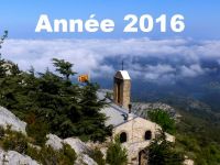 Année 2016 : tous les articles