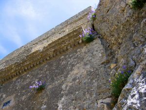 Sur la façade de la chambre de frère Elzear.