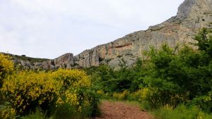 Spartier près du refuge Cézanne