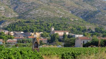 Vu de loin, il dépasse à peine des vignes ! 