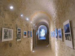 Le cloître est un bel écrin pour les expositions