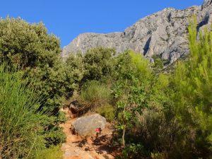 Un gros rond rouge marque le départ du sentier