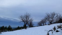 Sainte-Victoire, il a neigé ce matin...