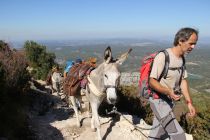 La montée des ânes au prieuré de Sainte-Victoire