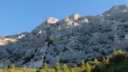 Sainte-Victoire... l'été des petites bêtes