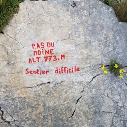 Inscription sur un rocher au départ de la descente par le Pas du Berger, à éviter