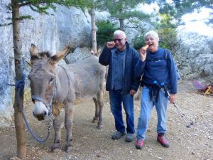 Bien qu'affamés,  Roger et Marc L. finiront par donner la carotte aux ânes...    