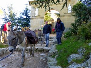 Stéphanie, garde-nature du GSSV, rejoint l'équipe pour la descente.