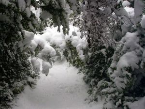  Laurent  a foulé la neige vierge  