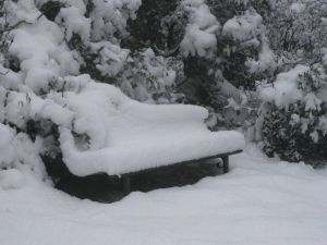 le banc de la côte 710