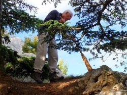 Alain H. juste au dessus, sur la montagne !