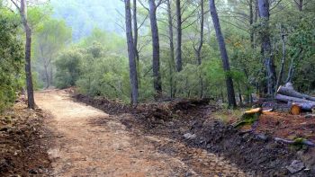 Même lieu, 15 jours après