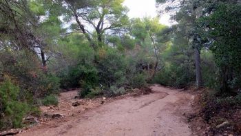 ...et après le passage du broyeur et du rouleau