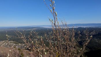 Encore une nappe de brume devant le Luberon