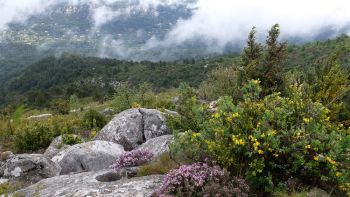 En haut du chemin des Venturiers