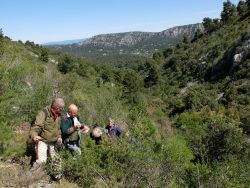 Jean-Paul, Augustin, Michel