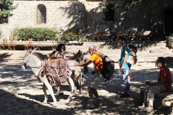 Cacahuète tire sur sa longe 