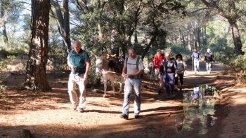 Daniel, Nicolas, Bernard, Yves, Céline, Jean-Karim et François