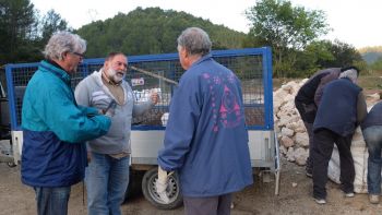 Francis, Jean et Marc D. devant la remorque, tandis que les bénévoles la chargent