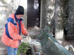 Yves coupe les branches récupérées pour en faire du petit bois.