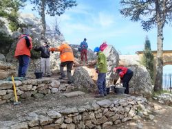 Terrassements autour du cèdre et du menhir