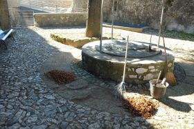 Quelques-uns des multiples seaux remplis de chatons provenant des cèdres