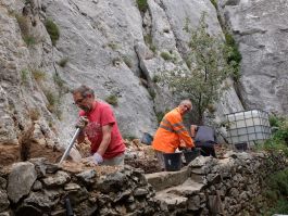 16  juin, Laurent, Sauveur et Daniel