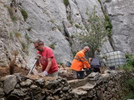 16 juin, Laurent, Sauveur et Daniel