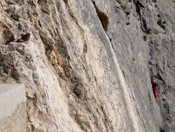 Sur la falaise, un grimpeur et accenteur alpin 