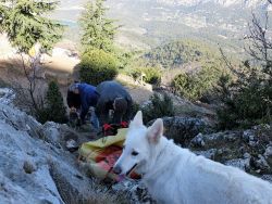 Hima surveille le chantier 