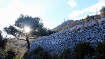 Sur le chemin longeant le mur d'enceinte