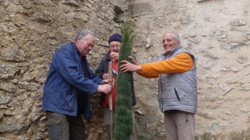 Marc D. vérifiant la verticalité du tuteur, Jean-jacques et Sauveur 