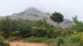 Les crêtes sont encore recouvertes de brumes