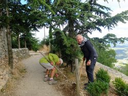 Marc L. ratisse le chemin, Jacques bine autour des buis 