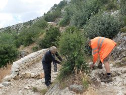 Jacques et Jean-Jacques taillent un buisson situé derrière le Prieuré 