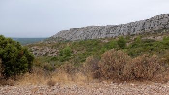 Cistes et herbes sèches devant les Costes Chaudes 