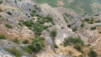 Sous la brèche, la végétation se raréfie également.