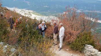 l'attelage arrive au Prieuré