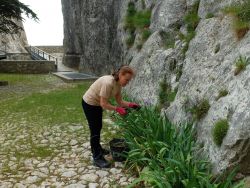 Christina Olsen désherbe la platebande d'iris