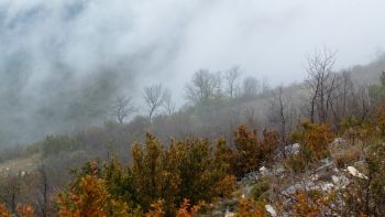 Le pré des moines dans la brume