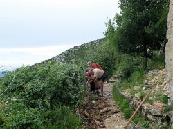 Laurent, Alain T., Pierre et Roland creusent la terre... 