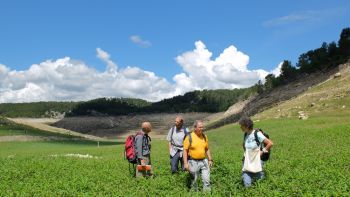 ...souvent recouvertes de plantes qui s'épanouissent depuis deux mois