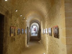 Le cloître enfin débarrassé