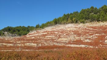 Les restanques en contrebas de Bonfillons 