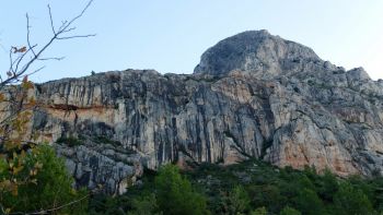 Les falaises dégoulinent